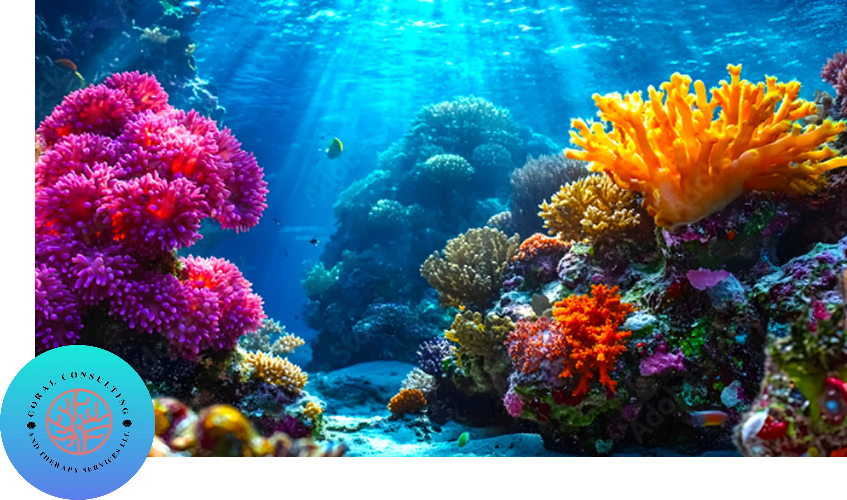 Vibrant coral reef teeming with colorful marine life under clear blue water.